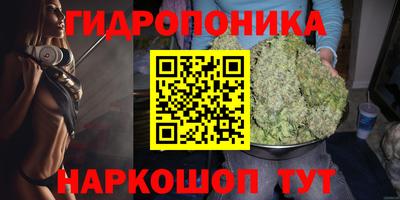 Альфа ПВП Будённовск