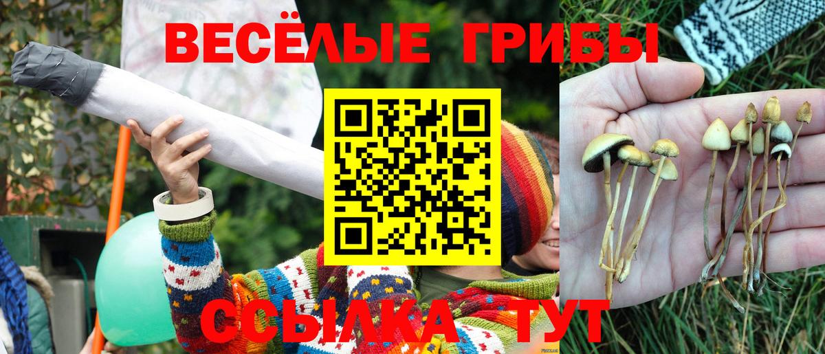 Псилоцибиновые грибы мухоморы  Вход с VPN  Бирск  Псилоцибиновые грибы GOLDEN TEACHER 